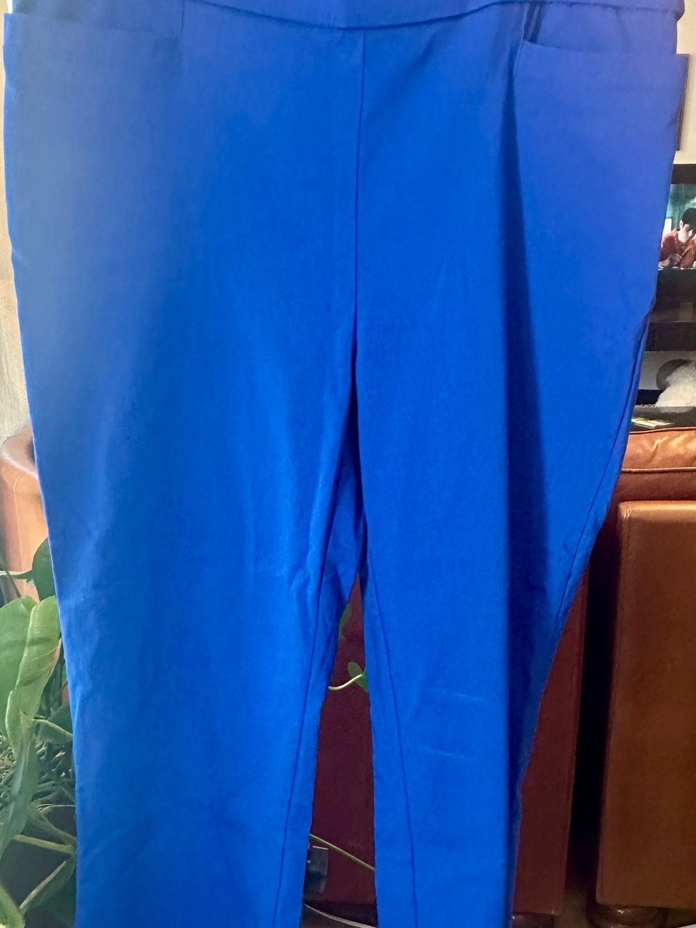 Briggs New York Vibrant Blue Cropped Ponte Pants